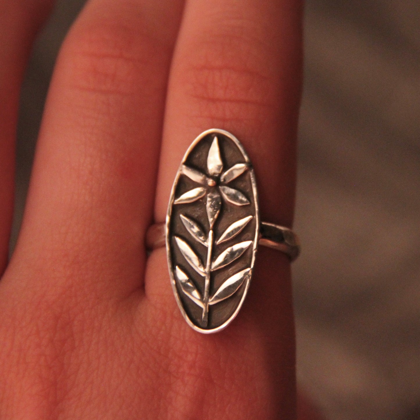 Silver Fern