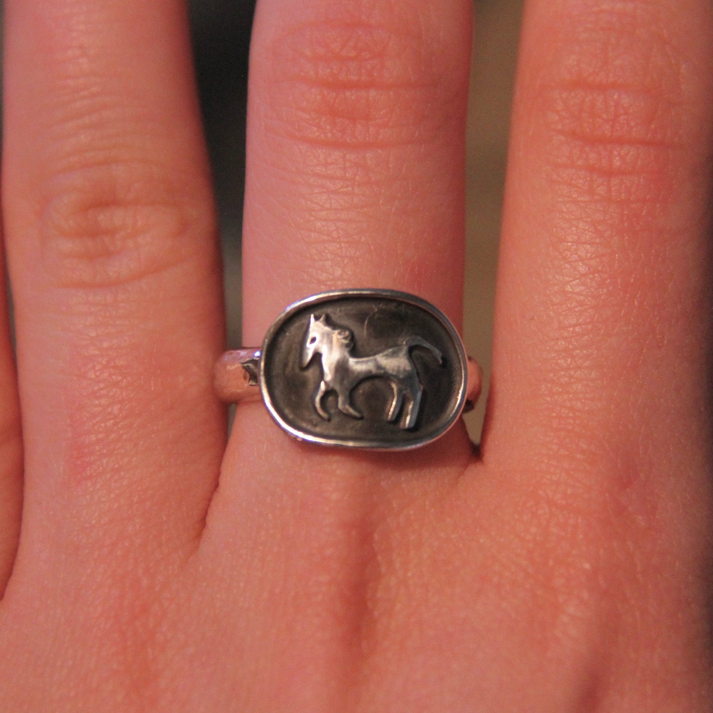 Racing Horse