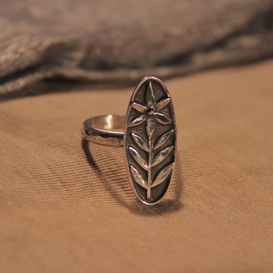 Silver Fern