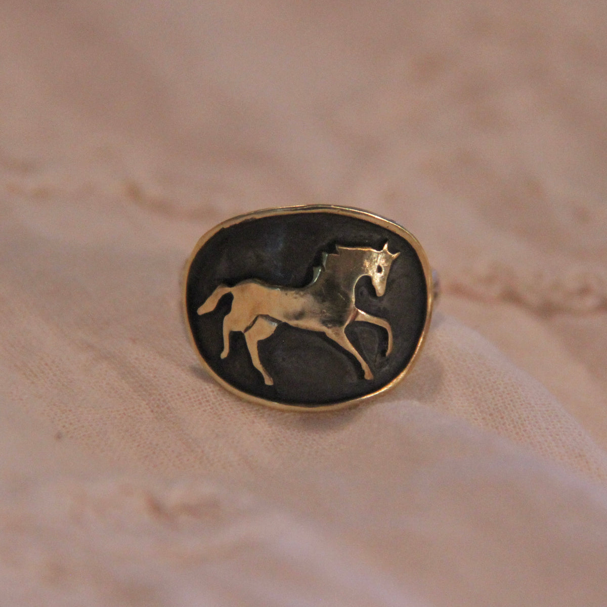 Run Horse RUN